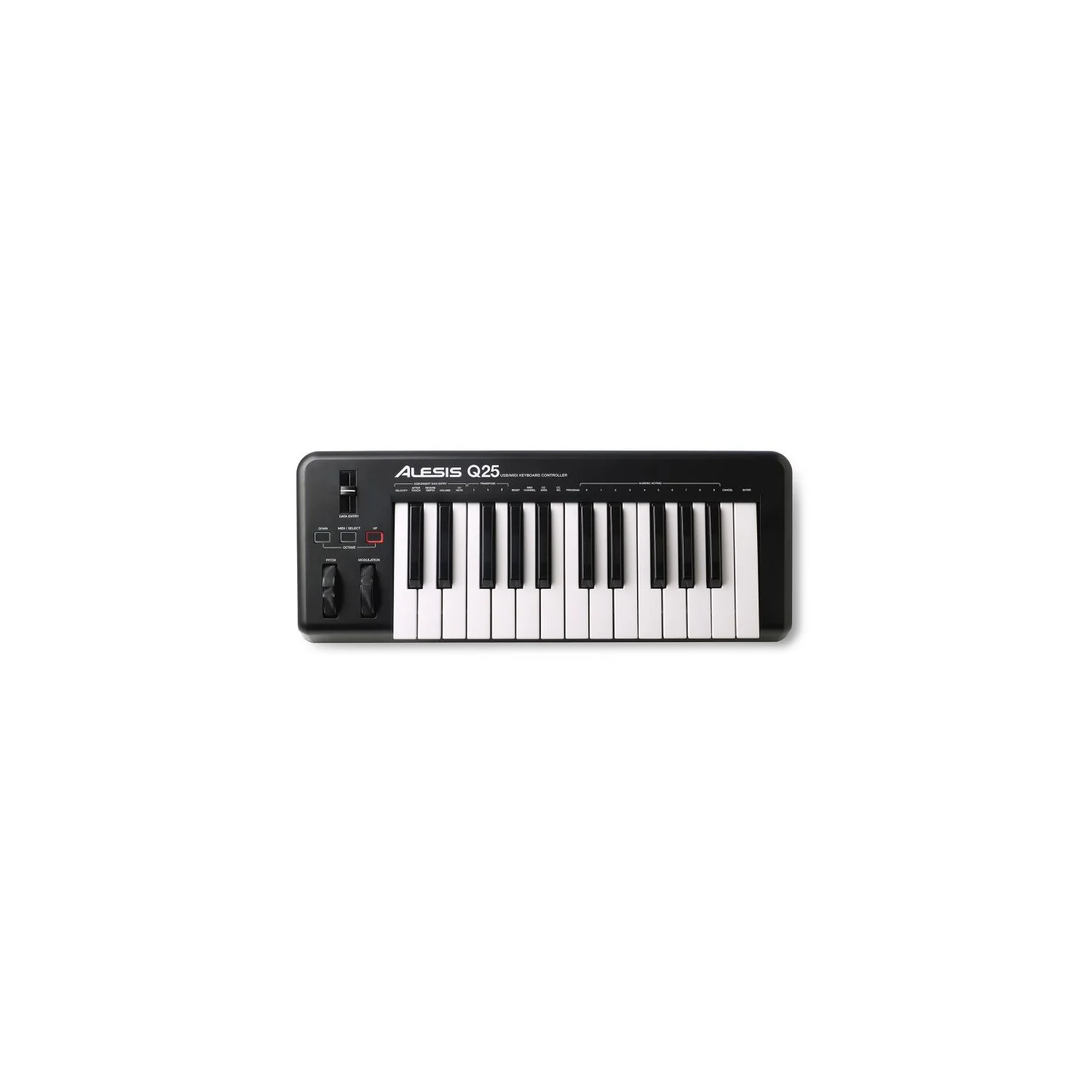 Alesis Q25 Midi Klavye