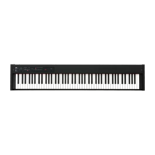 Korg D1 Digital Piyano