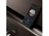 Korg C1AIR-BR - C1 Serisi Dijital Kahverengi Piyano