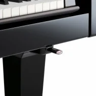 Roland RG-3F-PE Dijital Kuyruklu Piyano