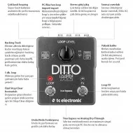 TC Electronic Ditto X2 Looper