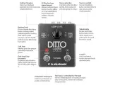 TC Electronic Ditto X2 Looper