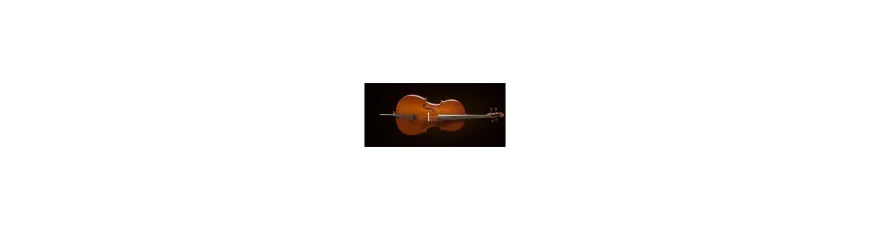 La Fa Müzik - Cello